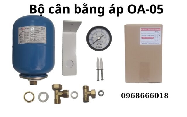 Bình Nóng Lạnh Bị Rò Nước Ở Van 1 Chiều